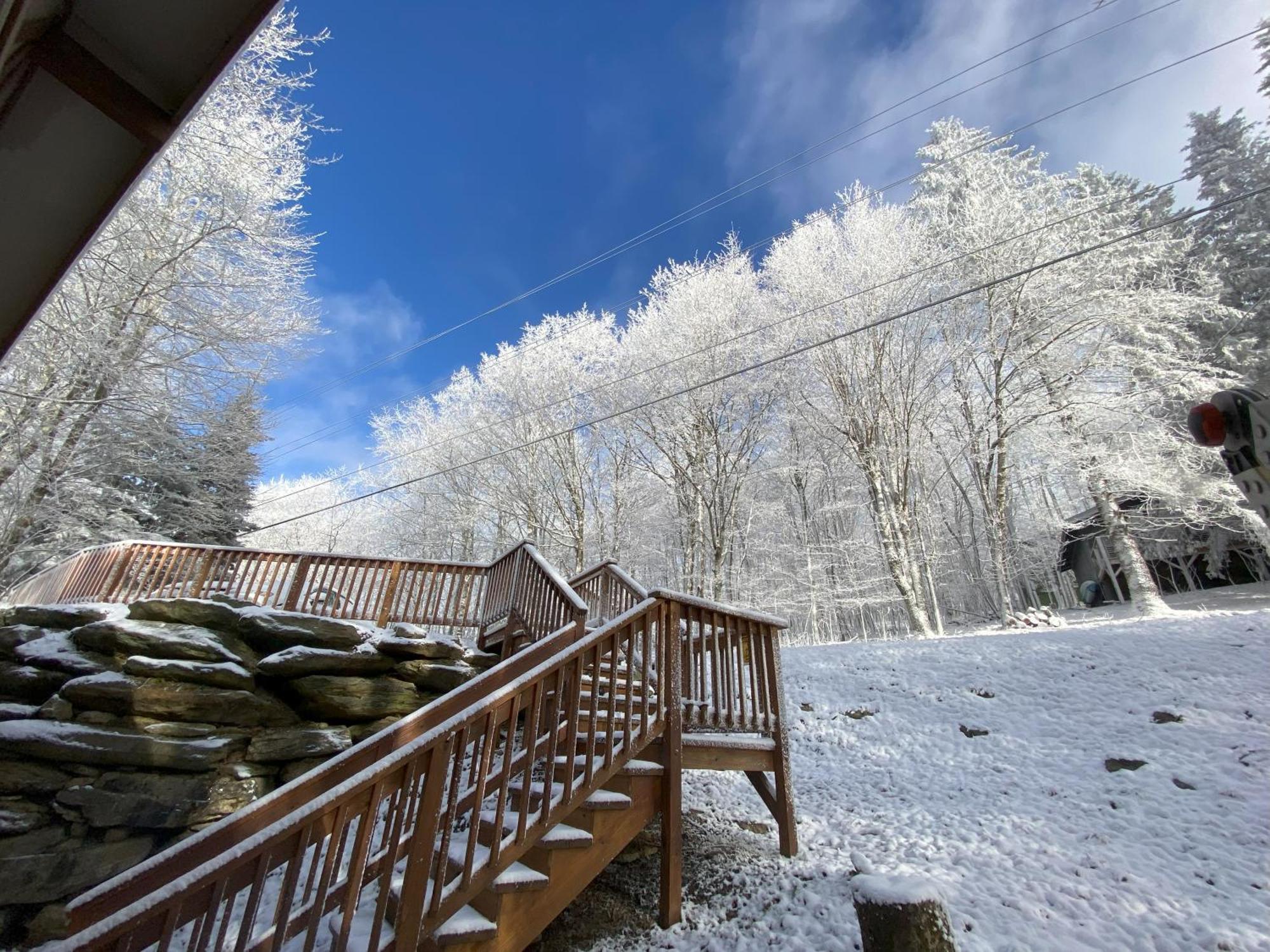 Cozy Cabin With Boosted Wi-Fi Beech Mountain Dış mekan fotoğraf